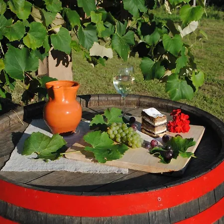 Vorgova Klet Дом отдыха *