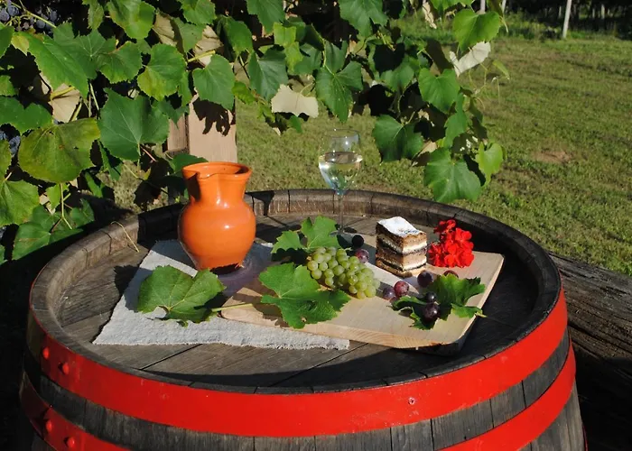 Vorgova Klet Casa vacanze *